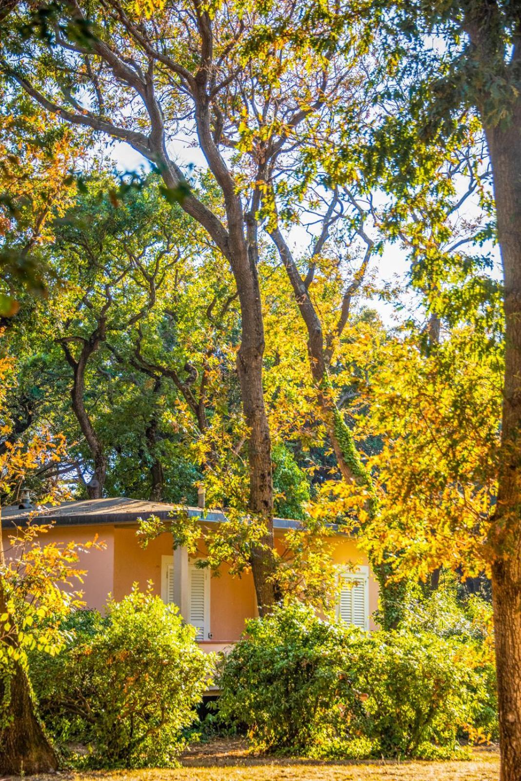 Hotel Riva degli Etruschi San Vincenzo Esterno foto